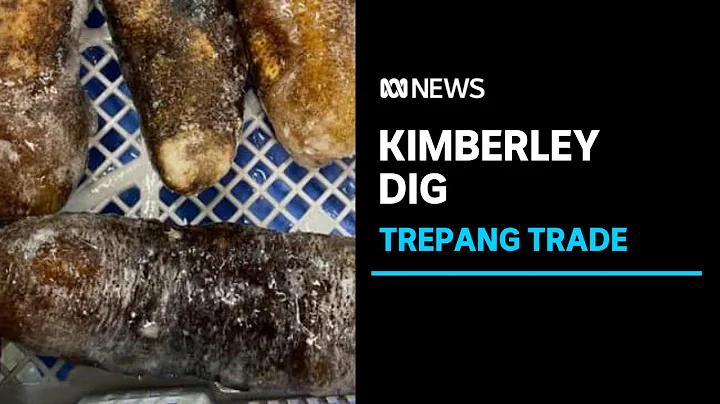A dig in the Kimberly is uncovering evidence of tr...