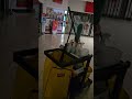 Bat in the Mall