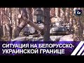 Ситуация на белорусско-украинских рубежах контролируемая. Панорама
