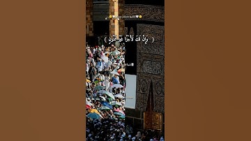 تلاوة قصيرة #سورة_القلم #اسلام_صبحي #القرآن_الكريم #تلاوات
