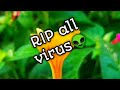 Reset your phone. very simple😉 Rip all virus💣
