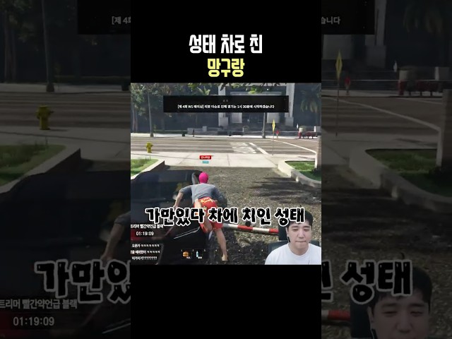 성태 차로 친 망구랑 #고래시티
