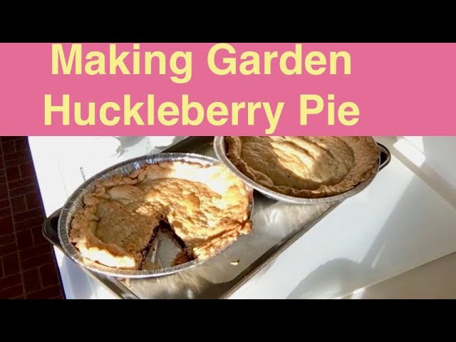 Making Garden Huckleberry Pie You