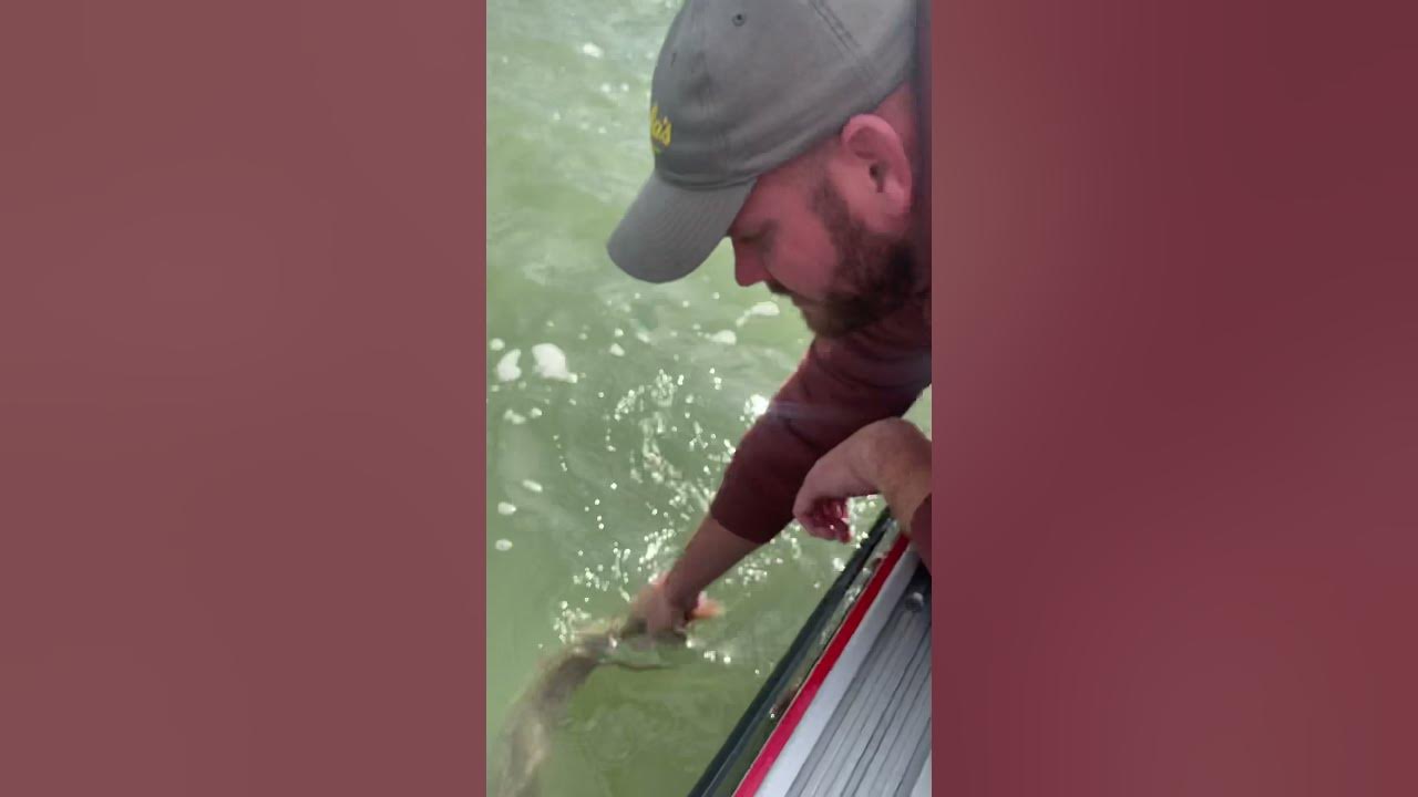 Fall brawl/walleye slam Lake Erie 2021 YouTube