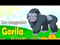 Cara Menggambar Gorila (Kingkong)