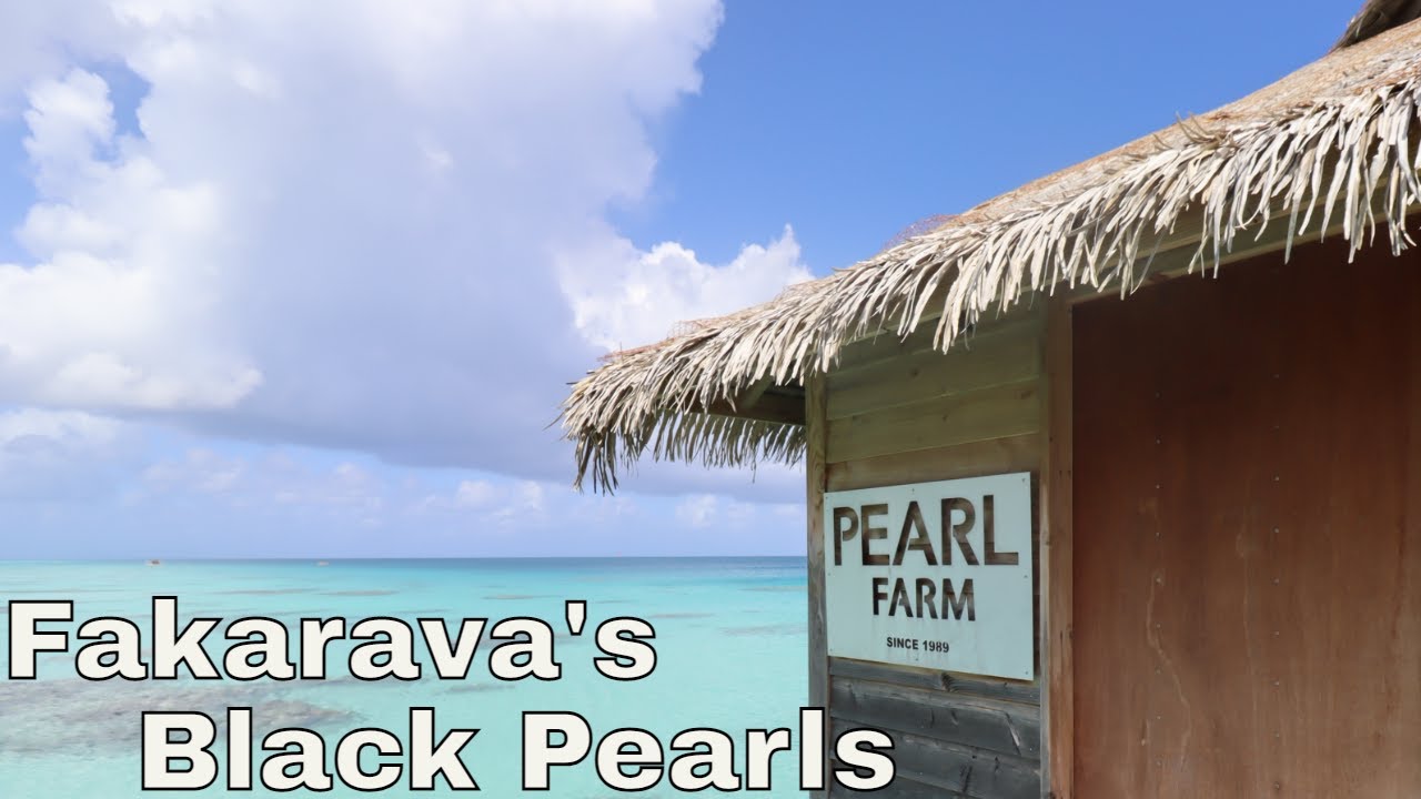 Touring a Pearl Farm on Fakarava Atoll Ep. 96