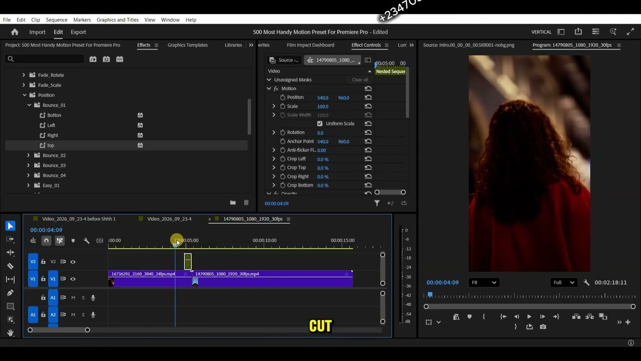 500+Animation Preset(Adobe Premiere)