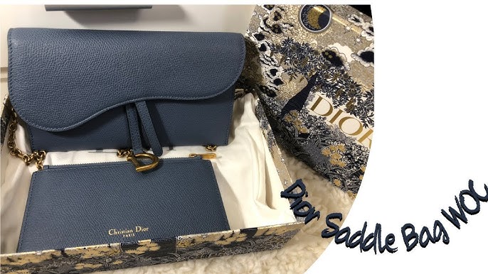 Dior Saddle Chain Clutch