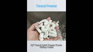 IQF Tunnel freezer frozen shrimp  #iqf #tunnelfreezer #frozenseafood #freezing  #processingshrimp