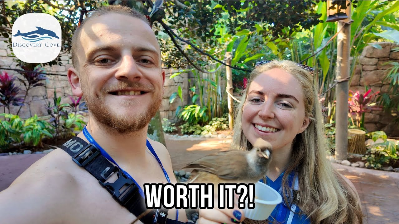 The Ultimate Day at Discovery Cove | Dolphin Swim, Bird Paradise & Unlimited Pizza 🍕