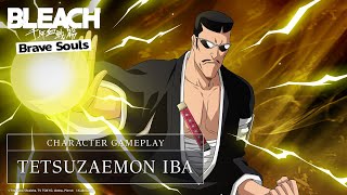 Bleachbbstetsuzaemon13 Squads Crown Summons Spirit Flash