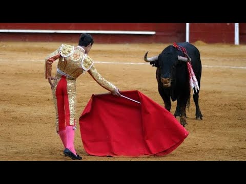 ليه الثور بيتضايق من اللون الاحمر بالذات