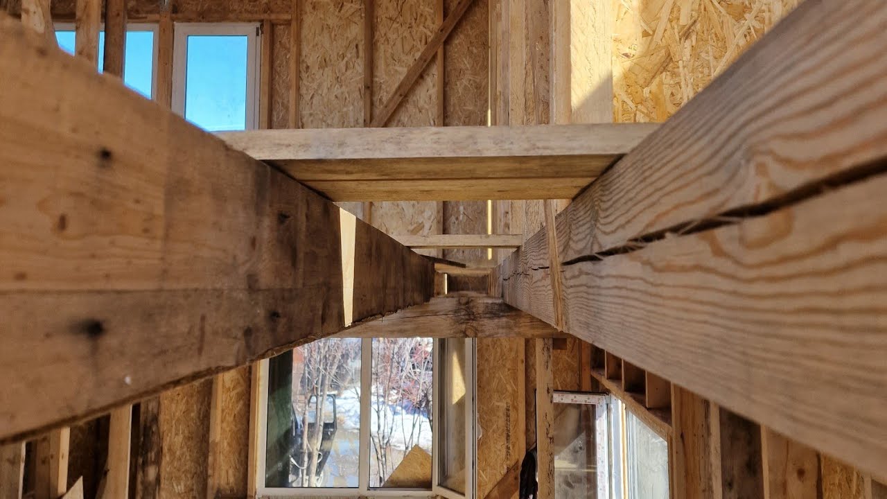 Северскую домокомплекты экстерьер