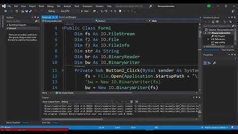 Filestream and Binary reader writer class with files in VB. Net