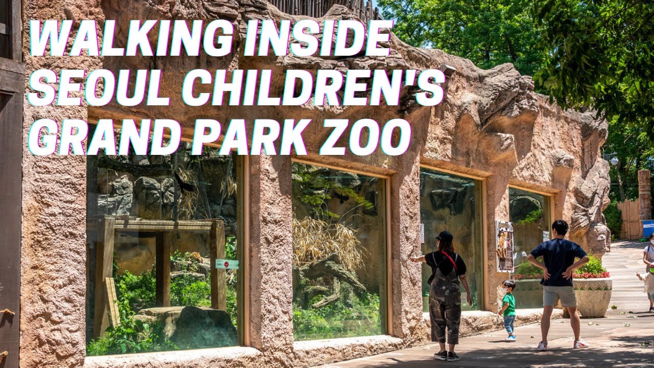 Walking Inside Seoul Children's Grand Park Zoo | South Korea | - YouTube