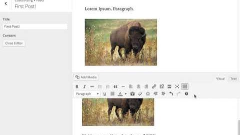 Customize Posts: TinyMCE Editor