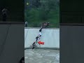 Dog Saved 😱