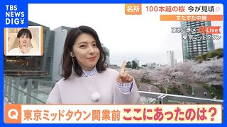 満開の桜がライトアップ！東京ミッドタウンで楽しむ花見＆グルメ【すたすた中継】｜TBS NEWS DIG