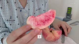 [vlog] 먹이를 주지 마세요… 먹고 눕기만 하는 병원로그 🥺  |  병원일기 ep.4