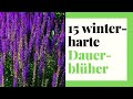 15 winterharte Dauerblüher - Stauden für Garten, Kübel und Balkon