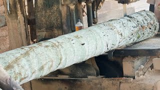 Enhanced Expertise Eco-Friendly Techniques in Coconut Tree Processing in Sustainable Sawmills!