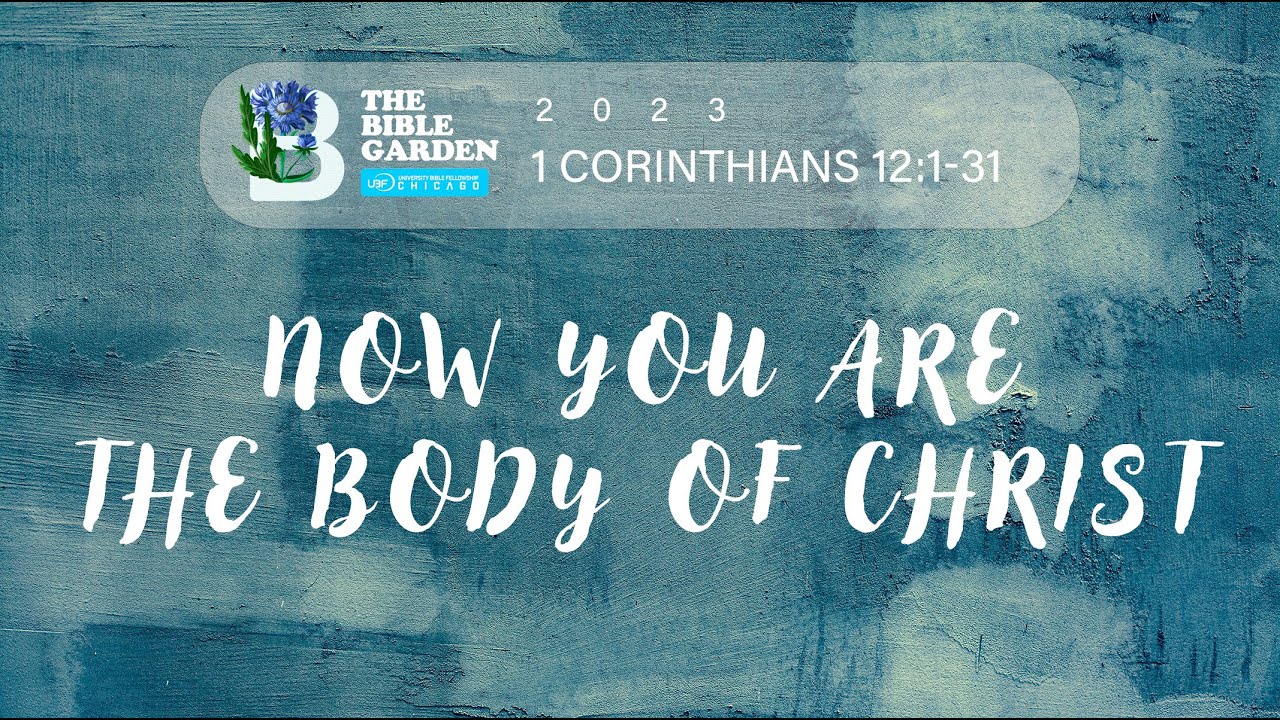 Now You Are The Body Of Christ 1 Corinthians 12 1 31 Chicago UBF Now You Are The Body Of Christ 1 Corinthians 12 1 31 Chicago UBF