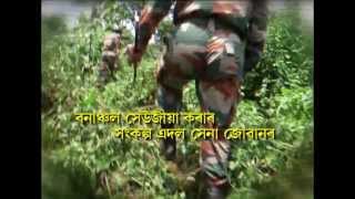 PROMO ECO TASK FORCE