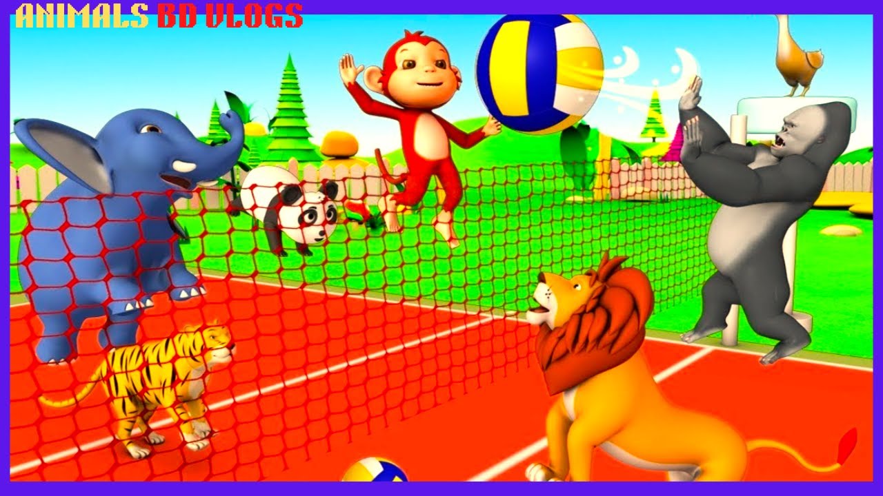 Animals Play Volley Ball in Forest Monkey & Gorilla Animals Cartoon