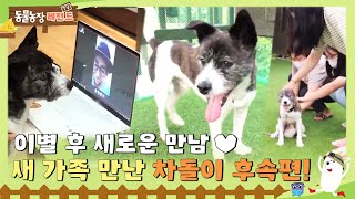 [TV 동물농장 레전드] 이별 후 새로운 만남♥ 새 가족 만난 차돌이 뒷 이야기! 풀버전 다시 보기 I TV동물농장 (Animal Farm) | SBS Story