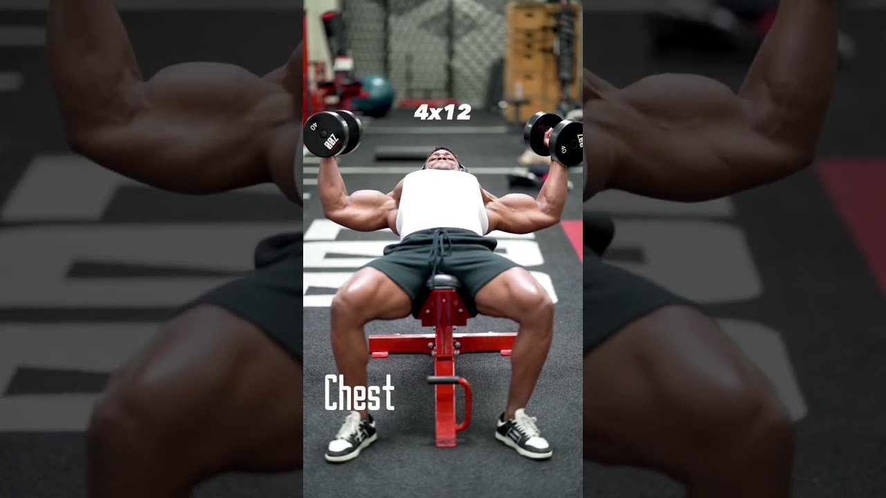 CHEST WORKOUT | Grow A Bigger Chest With These 4 Movements ?