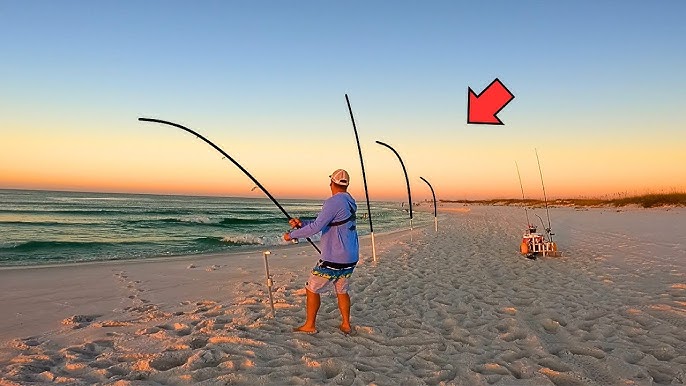 Surf Fishing the Sunset Bite and Caught This! 