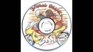 Hi Lo (Flow) - Chamillionaire, Big Tiger, and Paul Wall - Swishahouse - Spring Break 2k1 - Track 08