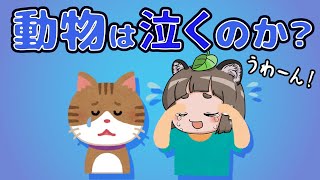 ゆっくり解説 動物って泣くの 生き物の涙の不思議を調べてみた Youtube