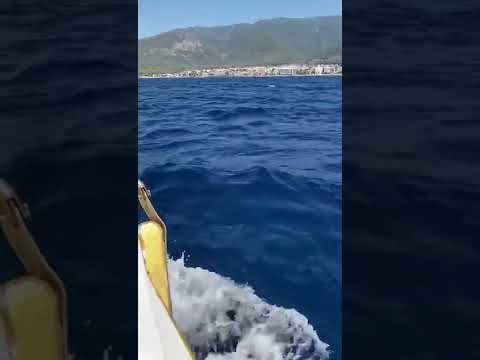 kuşadası tekne turu