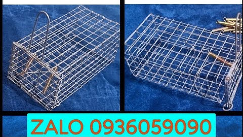 Bán bẫy chuột đồng. Bán bẫy chuột đường mòn. Bán rập chuột.