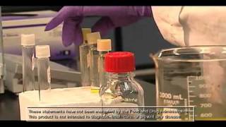 YouTube- Mannatech Product - BounceBack.mp4