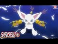Tailmon, super evoluzione! | Digimon Adventure: