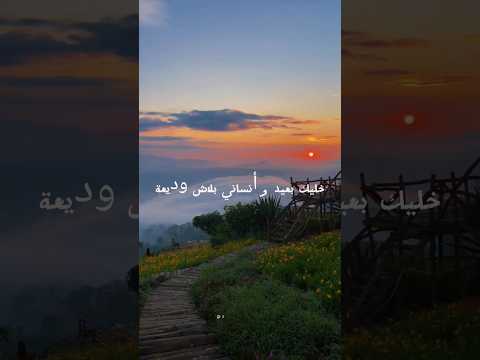 MortadhaFtiti 2000 𝑲𝒕𝒂𝒃 