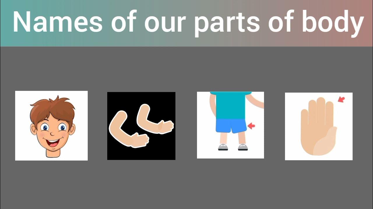 Names of parts of body in English with pictures with hindi meanings