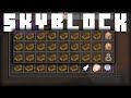 The perfect contraband (Hypixel Skyblock)