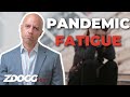 Pandemic Fatigue | A Doctor Explains