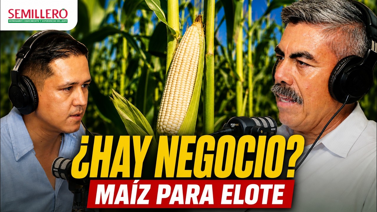 El negocio del maíz elotero | Ing. Andrés Salazar EP. 130