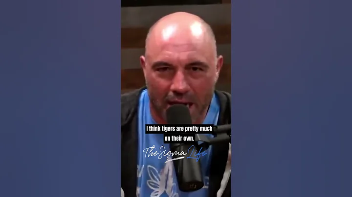 Joe Rogan on How Lions and Tigers Differ - DayDayNews