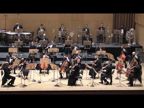 Ludwig V Beethoven Symphony No 5 1 Movement