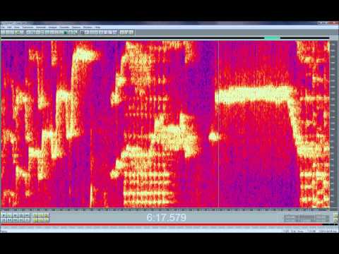 Spectrogram Rachele Gilmore