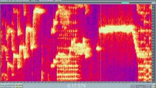 Spectrogram Rachele Gilmore