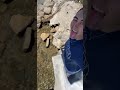 A Day In My Life Living On The Beach | Daily Vog