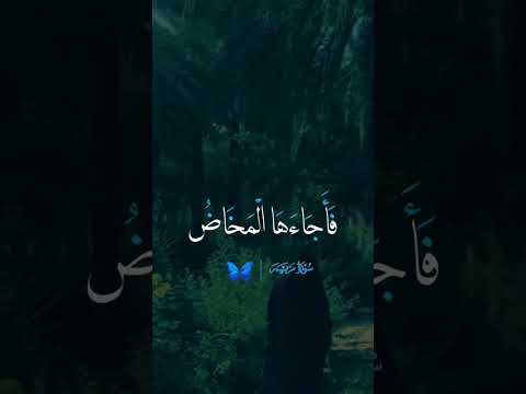 ف ح م ل ت ه ف انت ب ذ ت ب ه م ك ان ا ق ص ي ا 22 سورةمريم الشيخ عبدالباسط عبدالصمد 