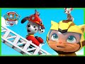 PAW Patrol and Cat Pack Save the Day and more! - PAW Patrol - Cartoons for Kids Compilation