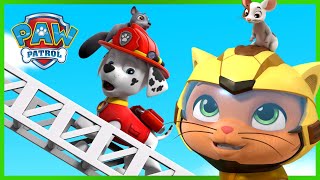 PAW Patrol and Cat Pack Save the Day and more! | PAW Patrol | Cartoons for Kids Compilation
